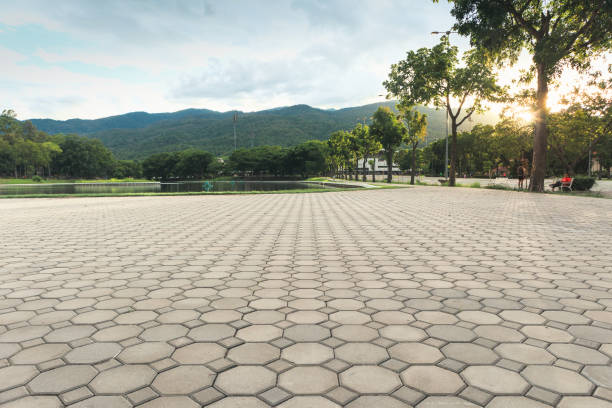 Best Residential Paver Driveway  in Prescott, WI